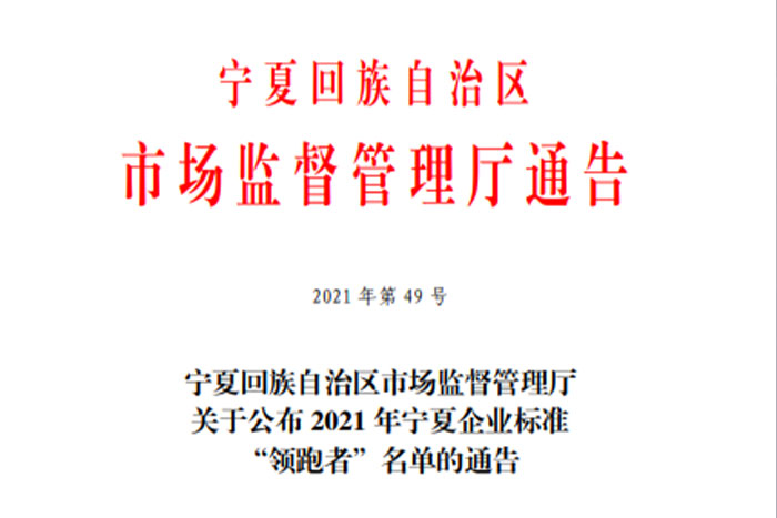 【榮譽】巨能《GS系列桁架機器人》企業(yè)標準入選2021年寧夏企業(yè)標準“領跑者”名單